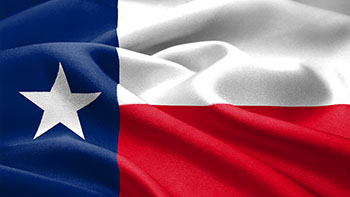Texas Lone Star State Flag